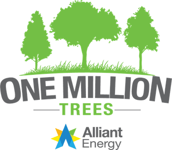 One Million Trees  (JPG)